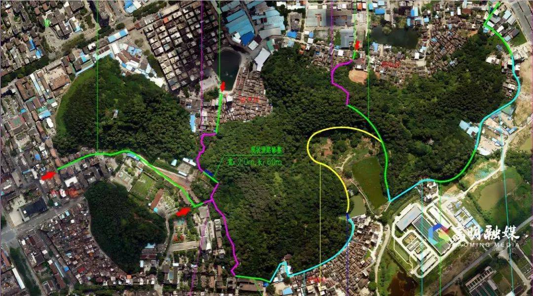 ！高明黄翁山环山健身步道建成对外开放qy千亿球友会饭后约起休闲好去处+1(图2)